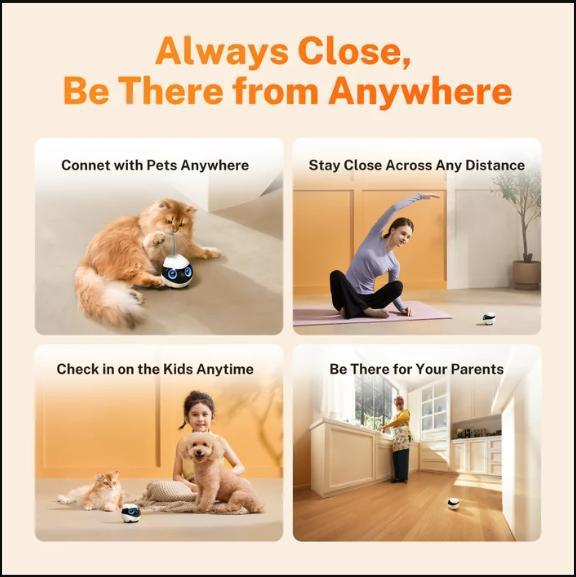 Enabot EBO Mini family robot lifestyle use around the home